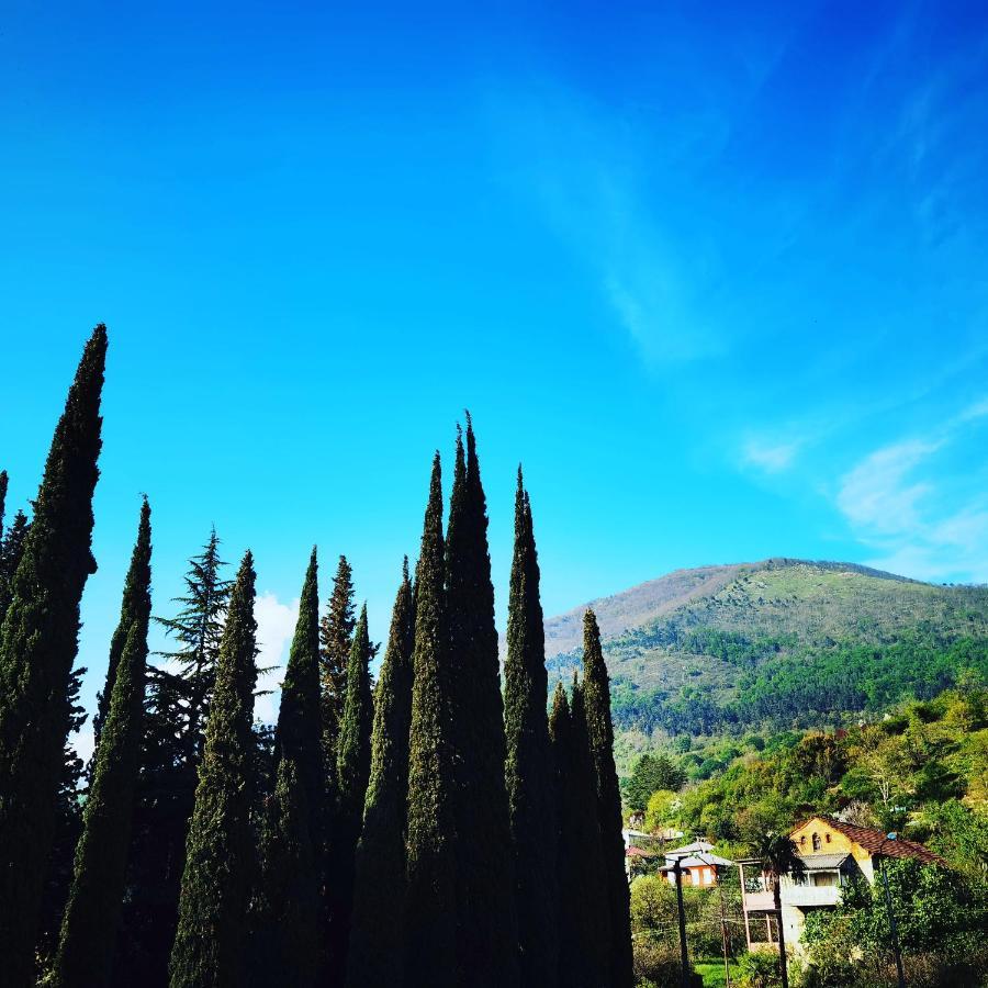 Gega Hotel Gagra Buitenkant foto